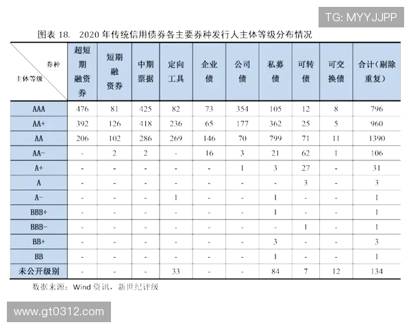 南京羽毛球队实力分析与发展前景探讨的全面研究与展望